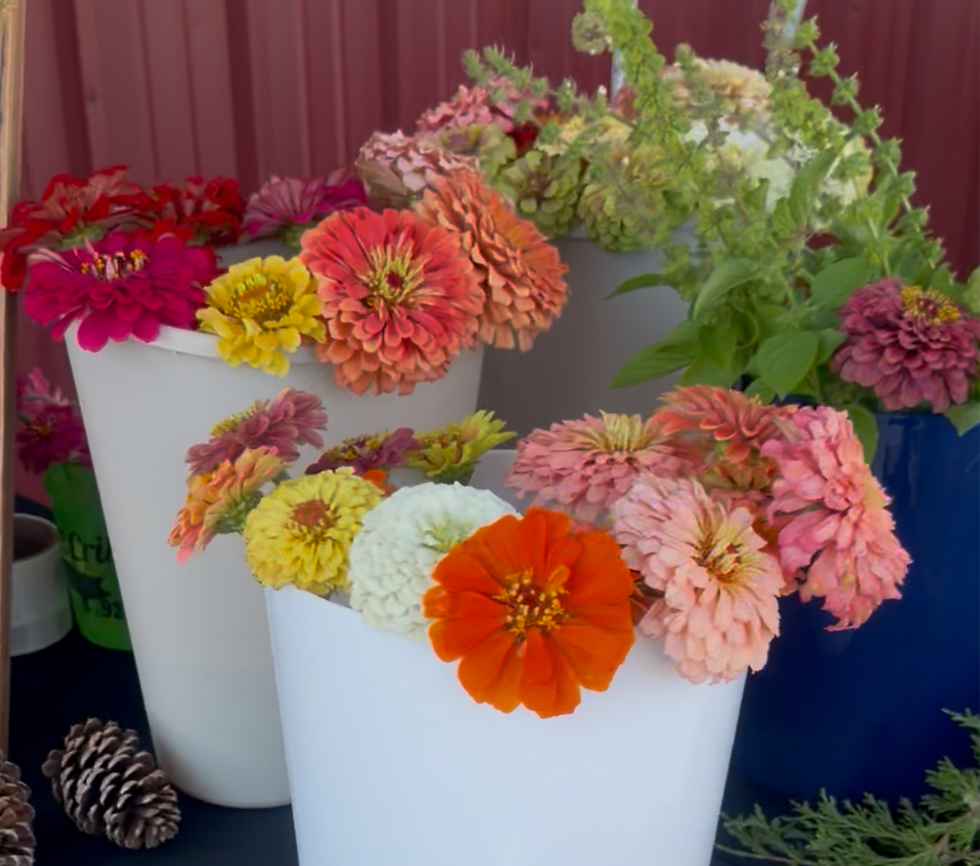 Okie Family Market Farm Swap