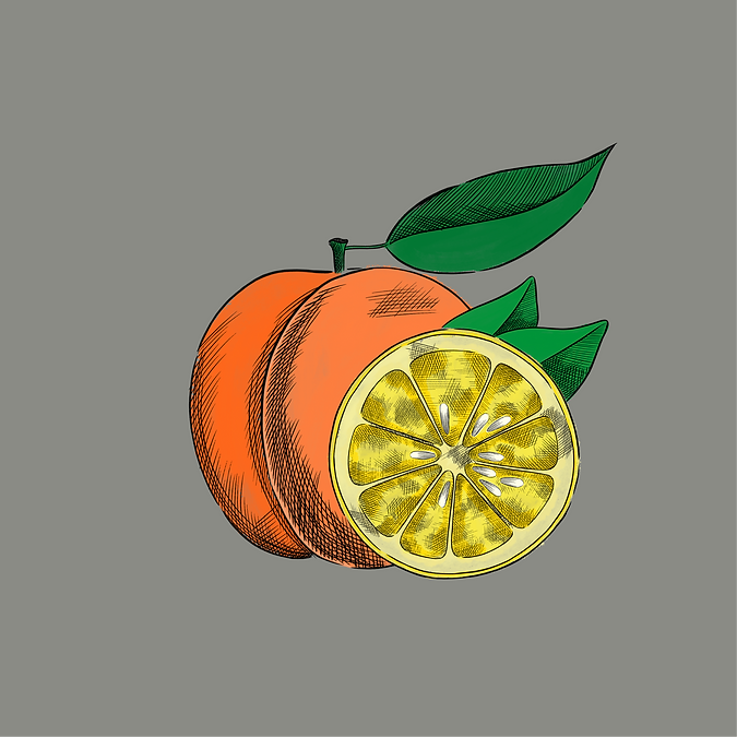 portada agridulce portfolio-01.png