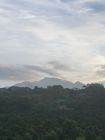 Our farm