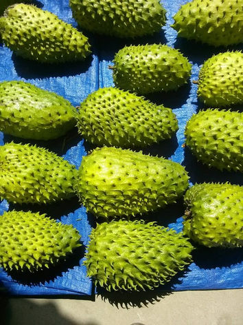 Our product