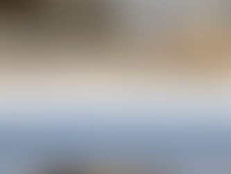 صحة الكرخ تتلف ١١١ طن من اللحوم الفاسدة… والعدسة تكشف ما أخفته البيانات الرسمية