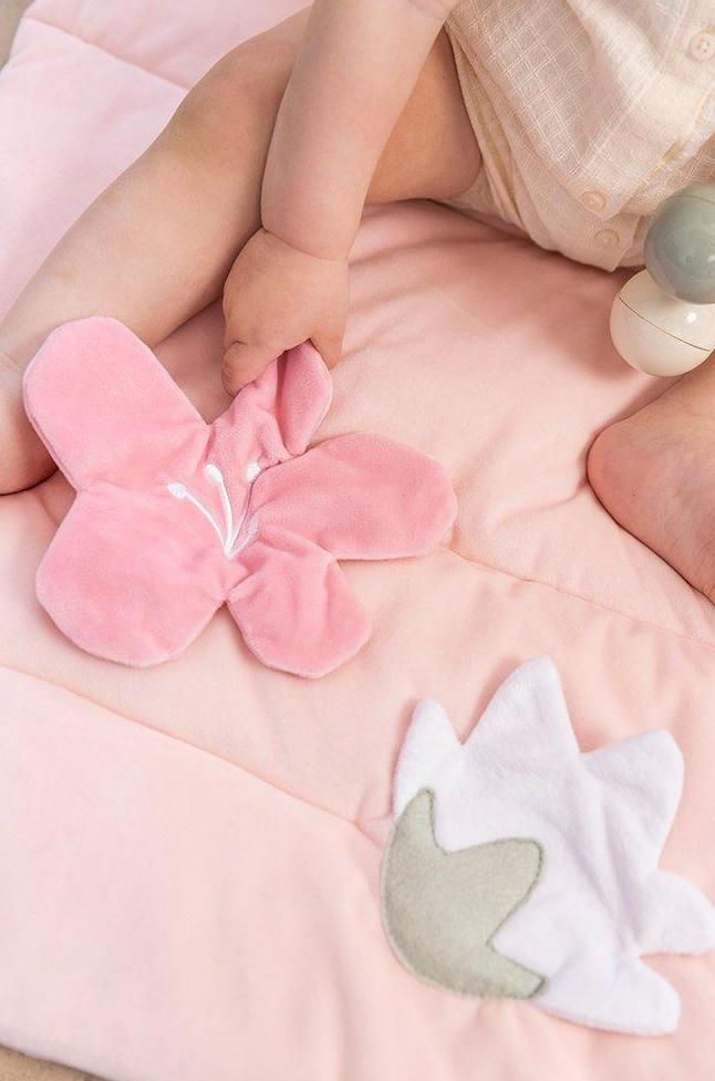 Miniatura: Copertina Gioco Pink Bird