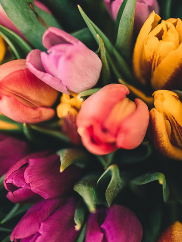 Each planted seed that grows now blooms
