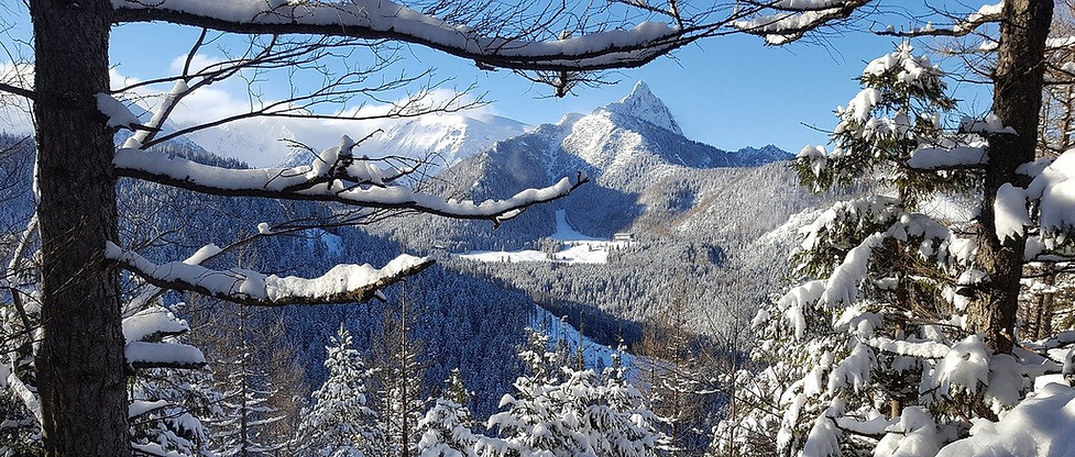 tatry-4359240_1280.jpg