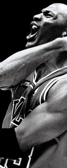 michaeljordan