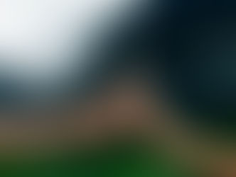 "ואהבת לרעך כמוך"