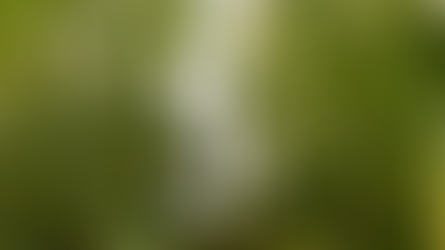 Tarifas, máquinas e segredos: O que está em jogo na segurança do agro brasileiro?