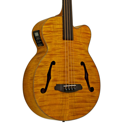 ベース Aria Aria Acoustic / Electric Fretless Bass | KC Fret Shop