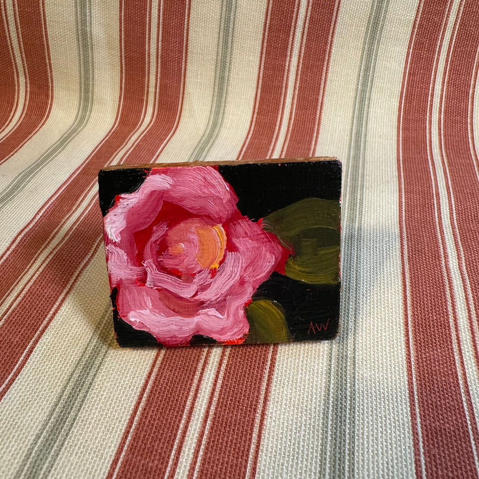 Tiny Rose with Black Background