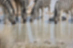 AO7A0731.JPG