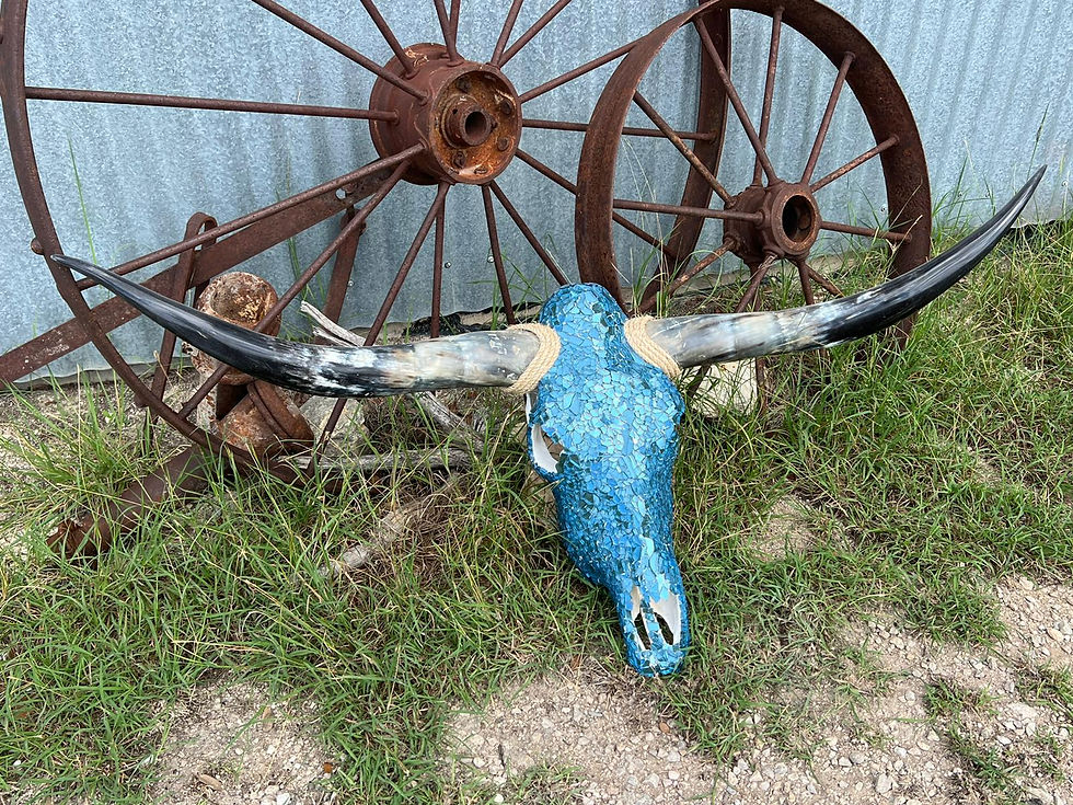 Thumbnail: Longhorns Flat Glass