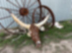 Thumbnail: Longhorns Chunky Glass
