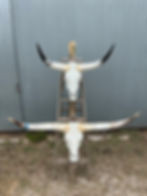 Thumbnail: Longhorns Chunky Glass
