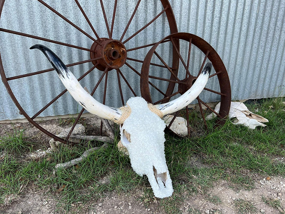 Thumbnail: Longhorns Chunky Glass