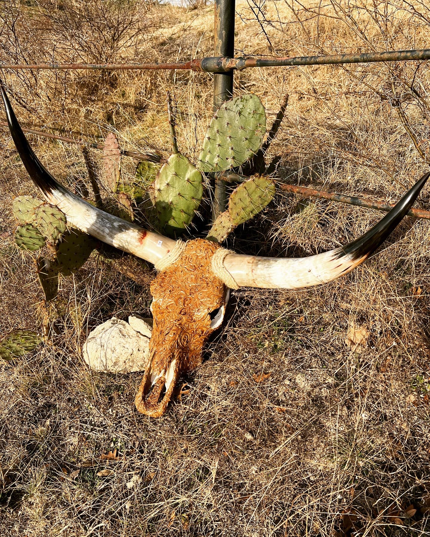 Longhorns Leather Look