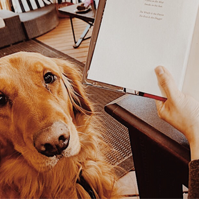 How I Get Out of a Reading Slump