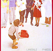 p-model-2.jpg