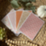 Pink Pumpkins | Autumn | Card Set