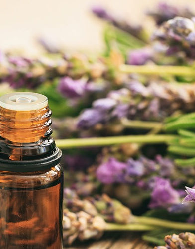 lavender essential oil hero.jpeg