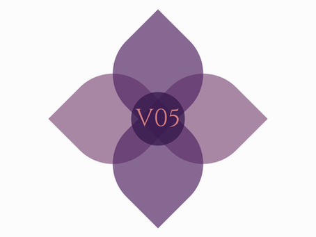 V05 TEST