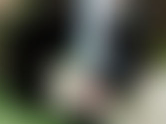 Zelda Ezmarelda is wearing black fishnet stockings, knee-length boots and jacket. She has white face makeup with black lipstick. Her black hair is slicked back and green at the ends. She is leaning against a large concrete planter pot and looking up. In the background is a trans flag.