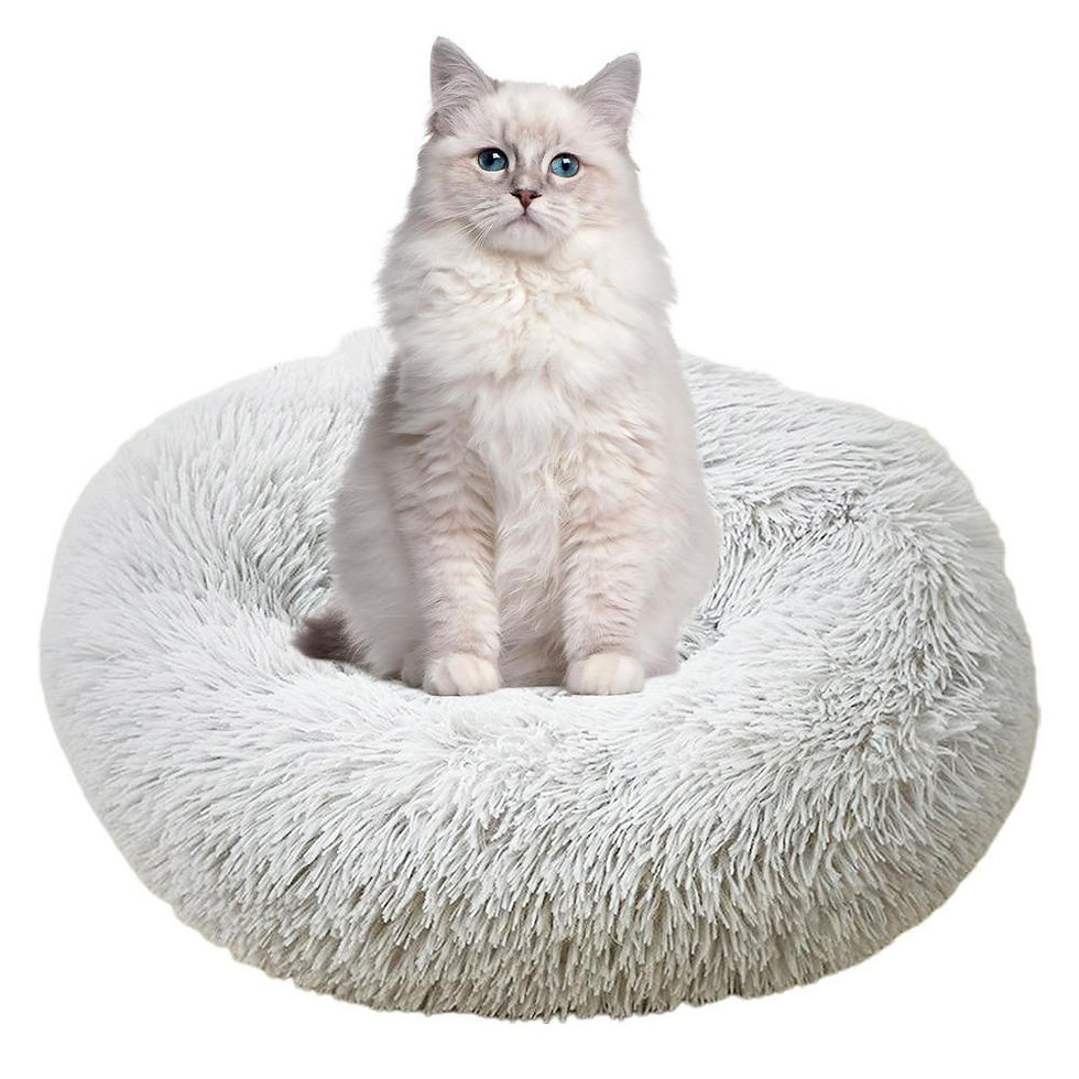 Miniatura: Caminha Aquecida Pet para Gatos e Cães Pequenos