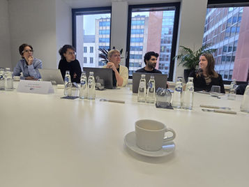 Réunion de travail au cabinet du ministre fédéral de la santé, Frank Vandenbroucke