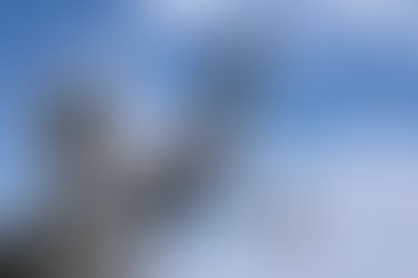 Trump advances federalism with reorganization order