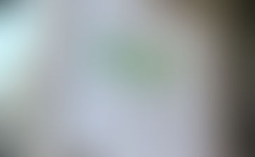 CFPB Dispute: Statute, Precedent, and the Constitution Are on Trump's Side