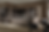 KITCHEN11.png
