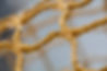 Gul not mdråpe5.jpg