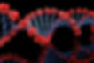 I:DNA WARWICK MEDICAL SCHOOL