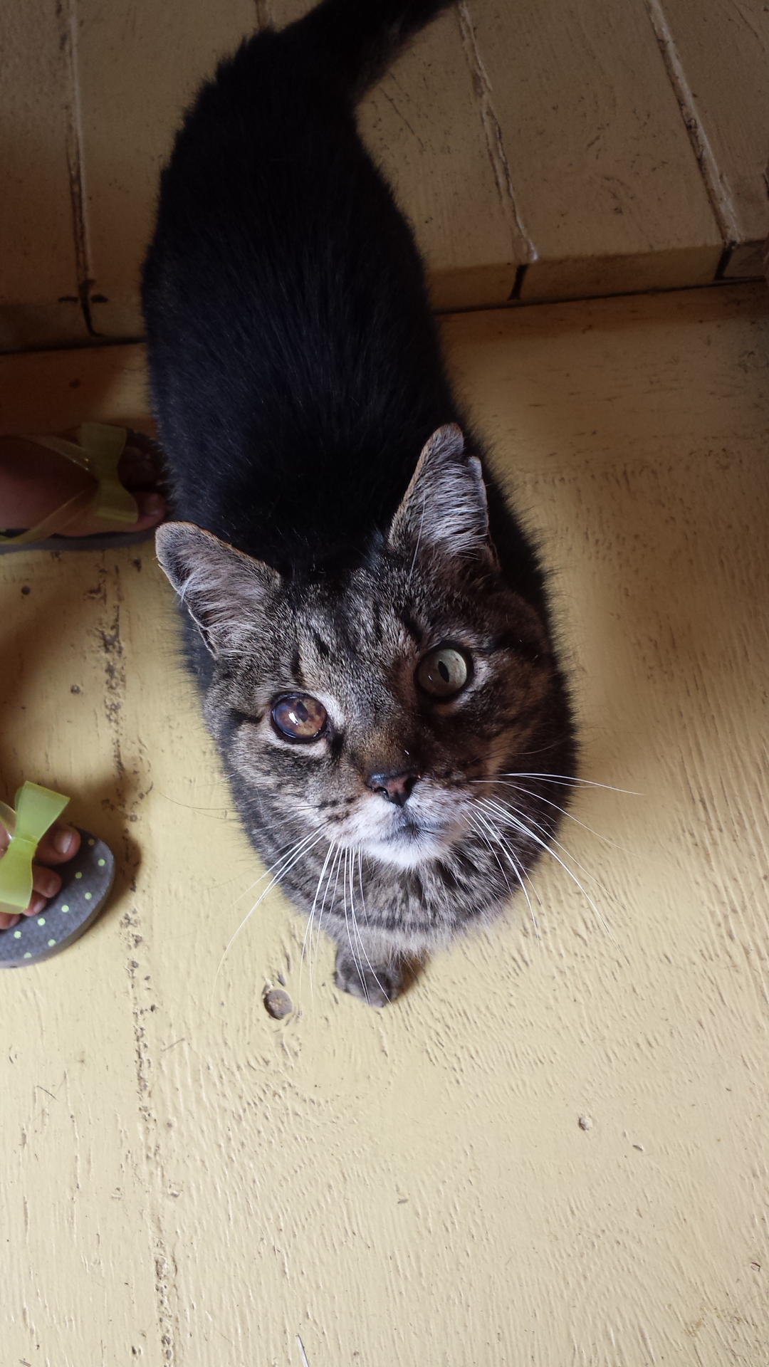 Buster 08.2014