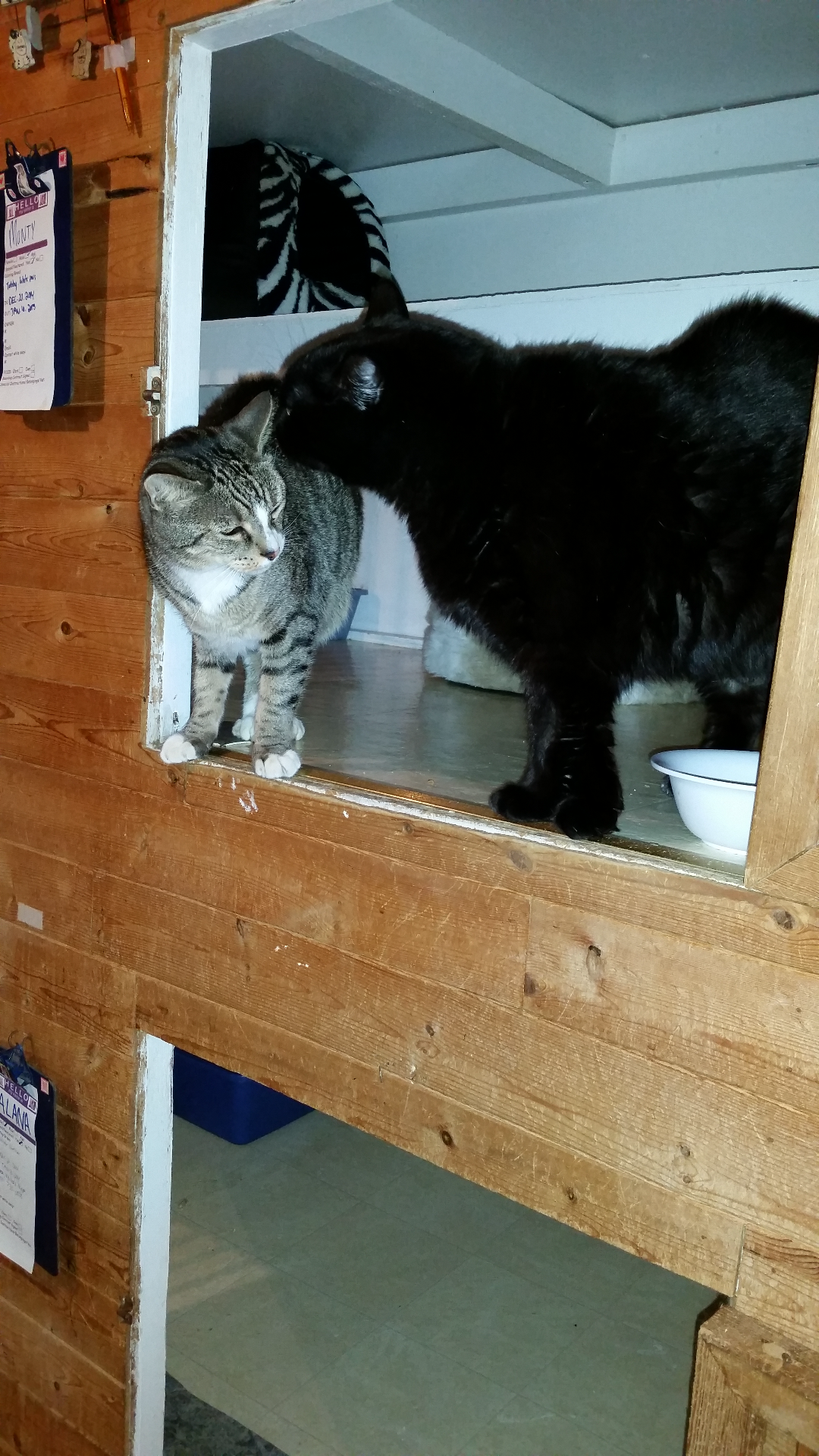 Monty & Flea 01.2015