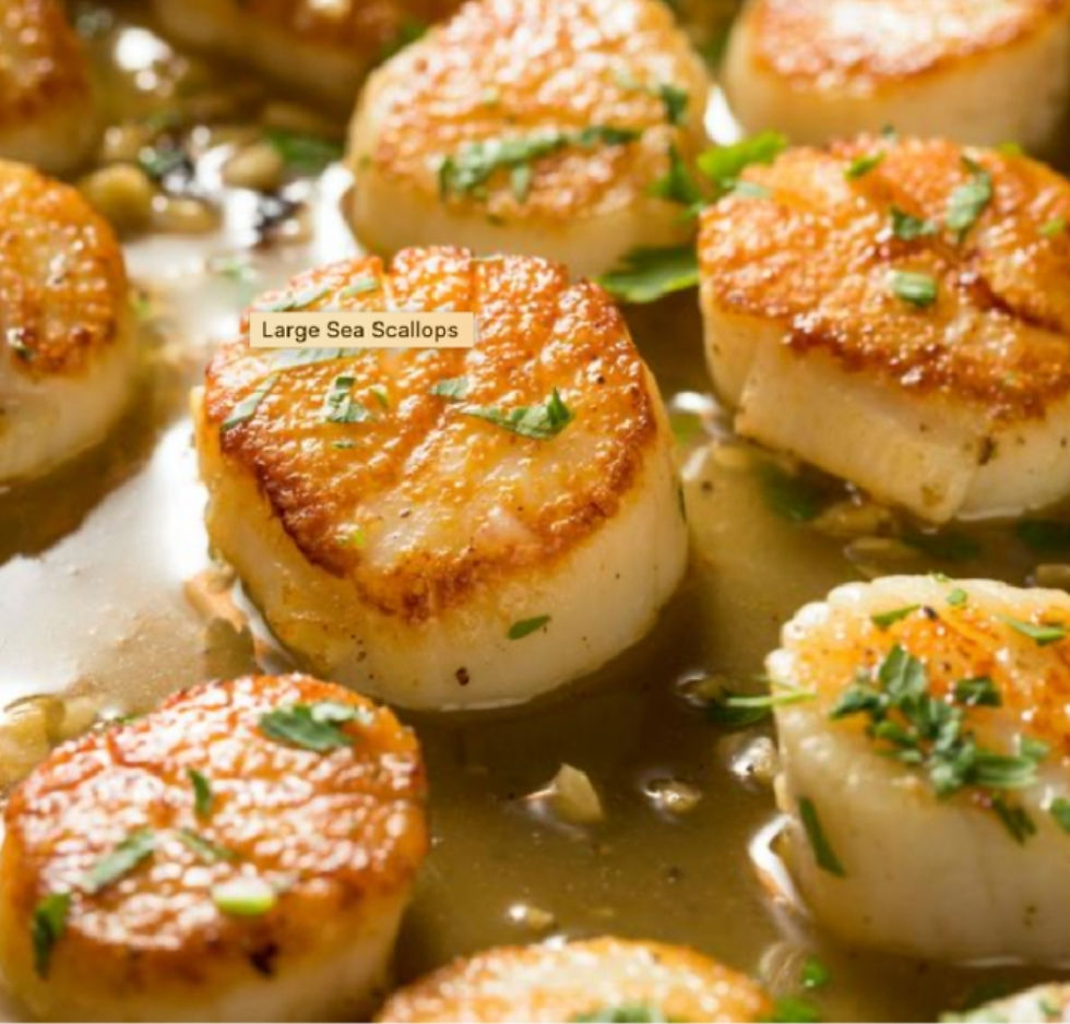WILD Scallops Price per lb RocktheBoatSeafood