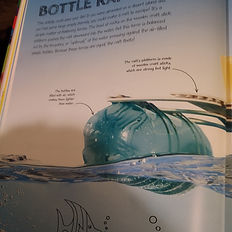 A Floating Raft Stem Project