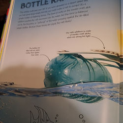 A Floating Raft Stem Project