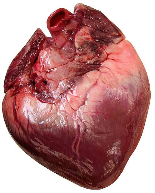 Verborrea #16: Corazón Crudo.