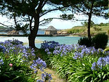 Île aux fleurs