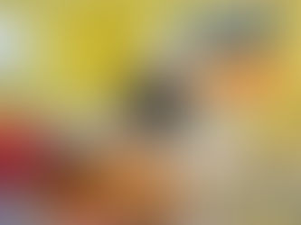 Buscando un hogar para todos