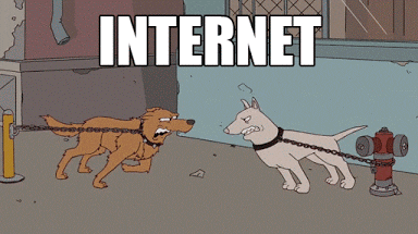 giphy (2).gif