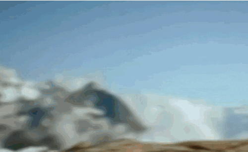giphy-4.gif