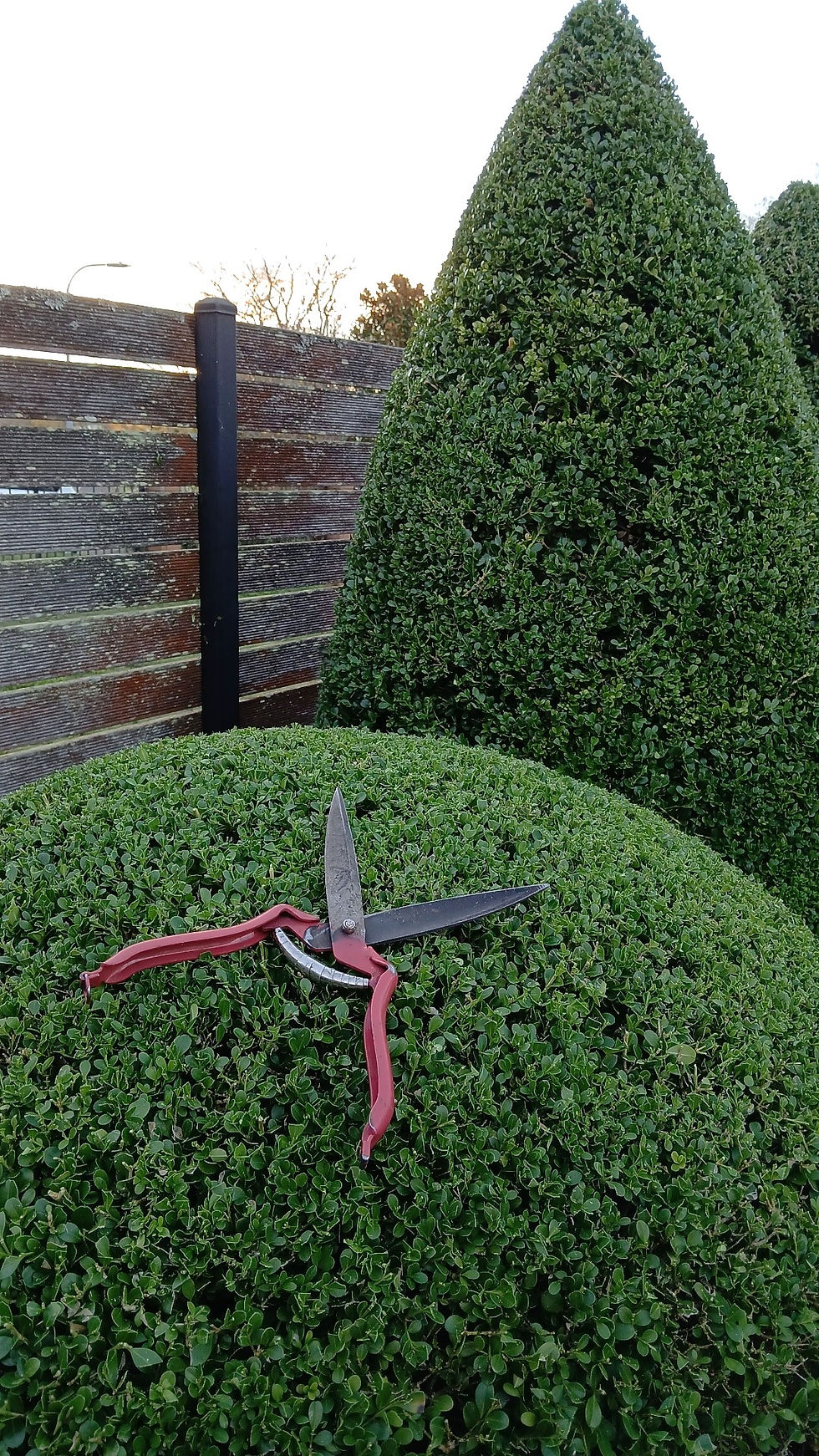 IMG_20240522_164404_188