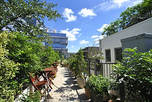 _DSC9470.JPG