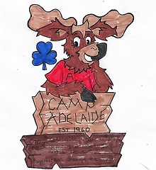 addy 1.png