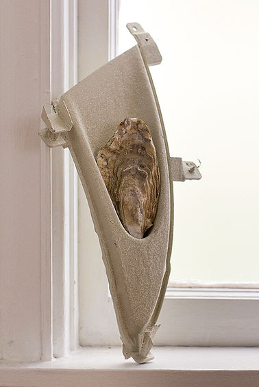 An oyster shell in a plastic sculpture on a window sill.