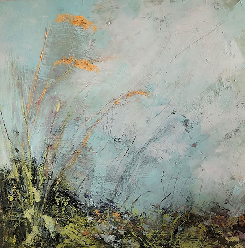 Verges 3