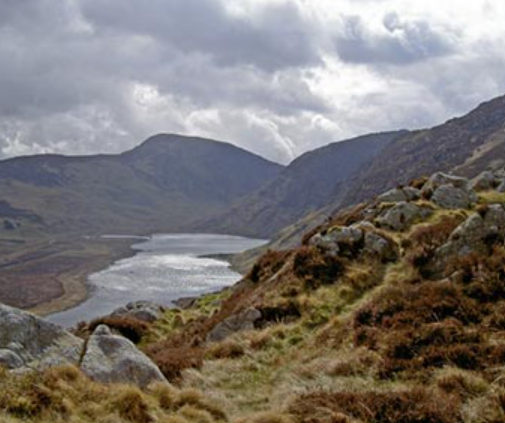Foel Grach.png