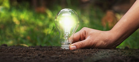 Lightbulb in soil.jpeg