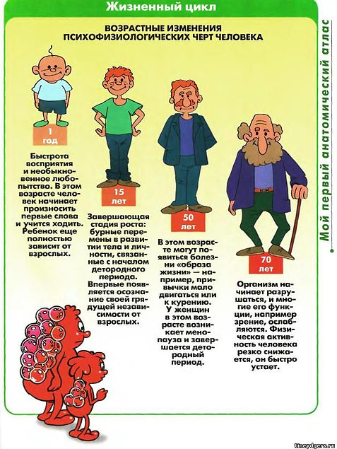 94.jpg